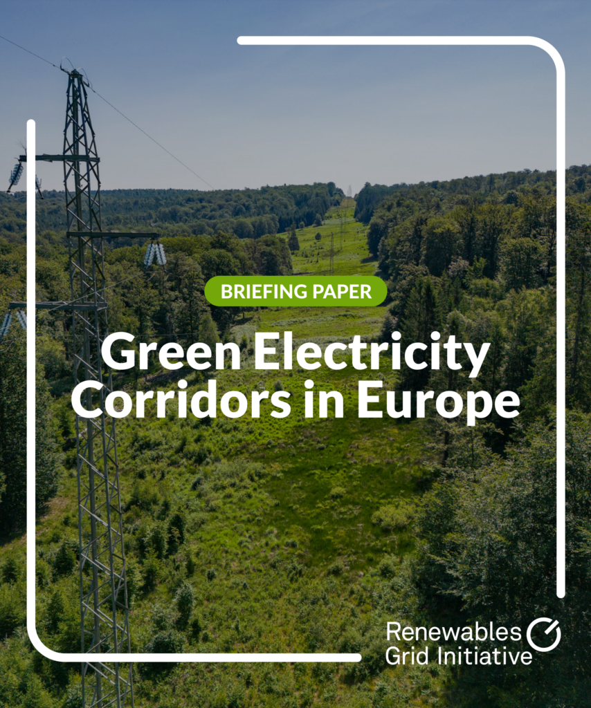 Collaborative Briefing Paper Released on Green Electricity Corridors in ...