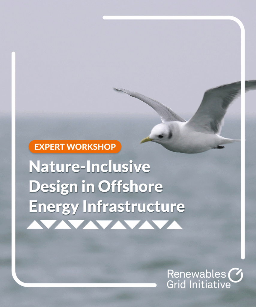 Nature Inclusive Design Guide Expert Workshop: Nature-Inclusive Design in Offshore Energy ...