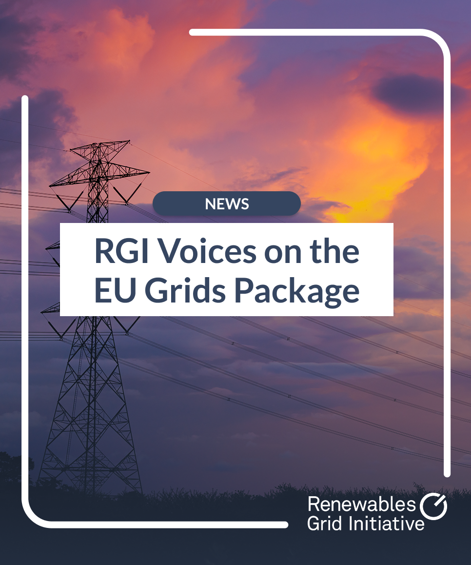RGI Voices on the EU Grids Package - Renewables Grid Initiative