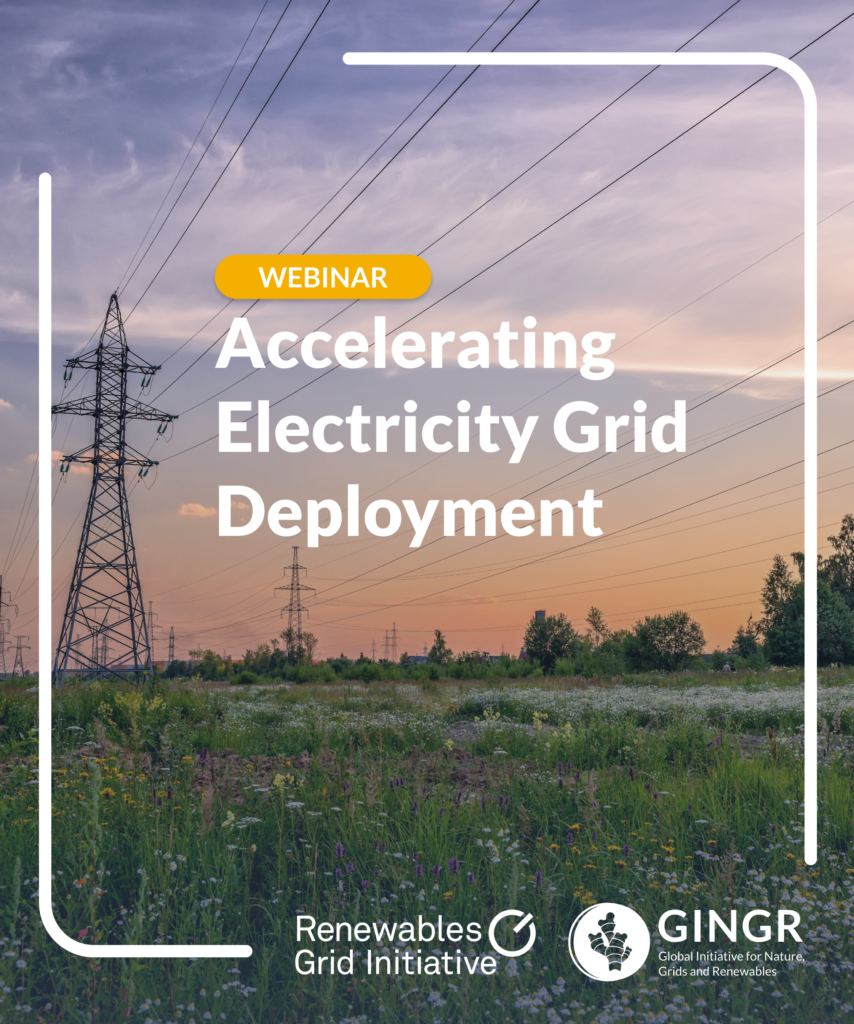 Accelerating Electricity Grid Deployment: Integrating Nature and Social ...
